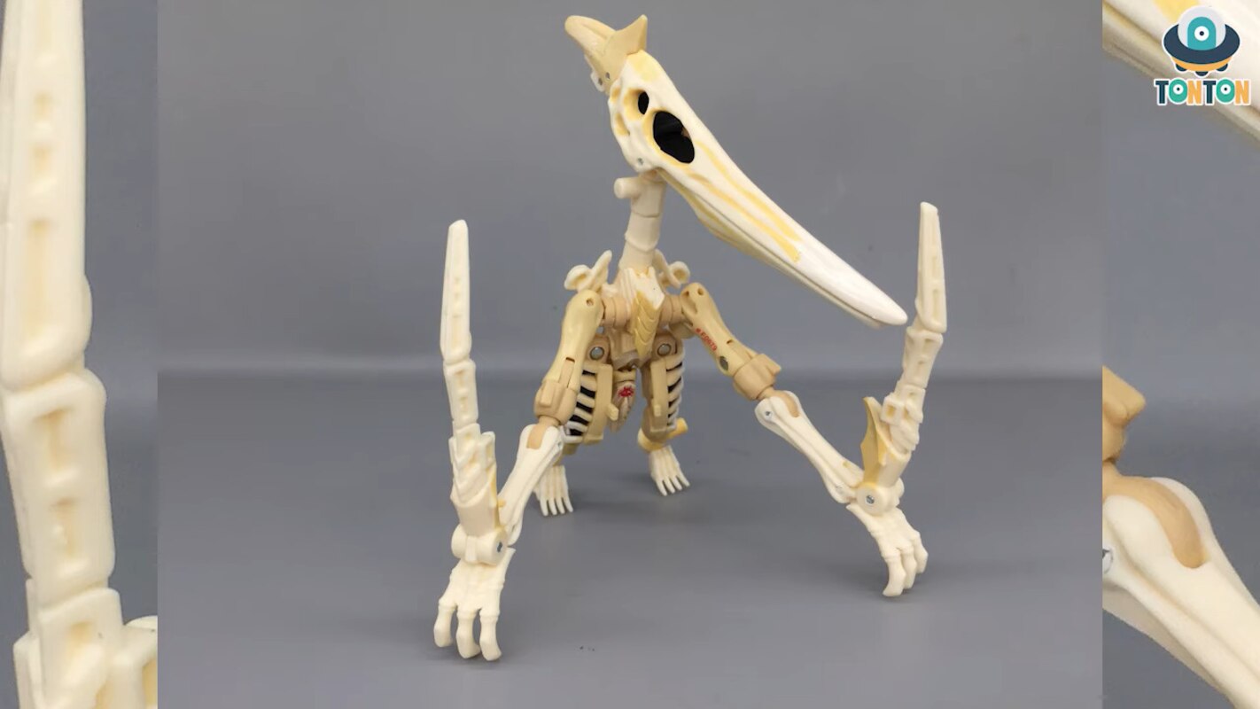 fossilizer wingfinger